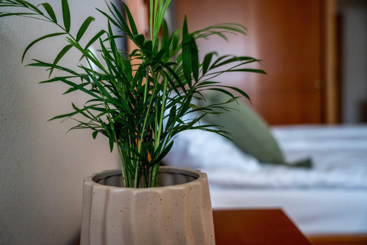 Lagoja B&B Trzin 外观 照片